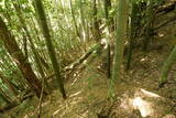 丹後 森本城の写真
