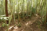 丹後 森本城の写真