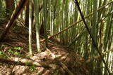 丹後 森本城の写真