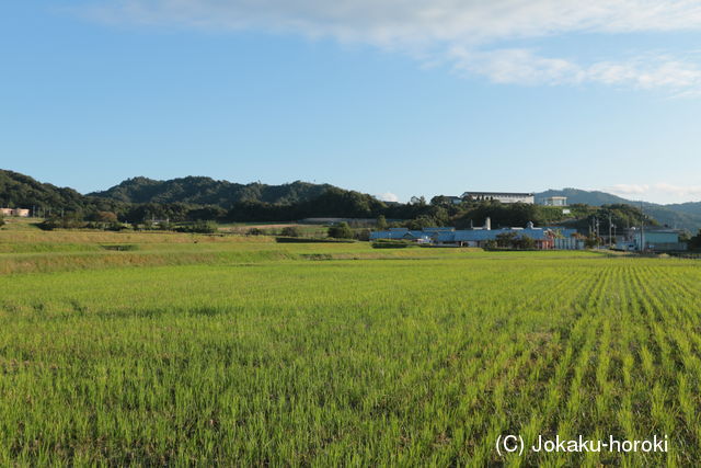 丹後 帯城城の写真