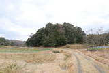 丹後 覚谷城の写真