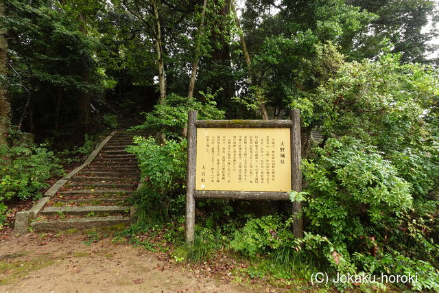 丹後 大野城の写真