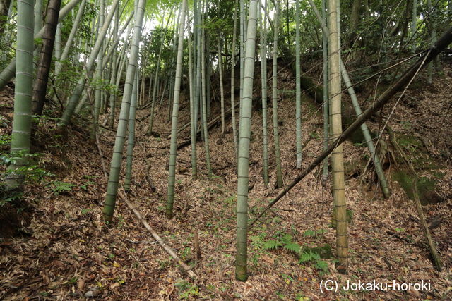 丹後 高森城の写真