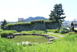 丹後 田辺城の写真