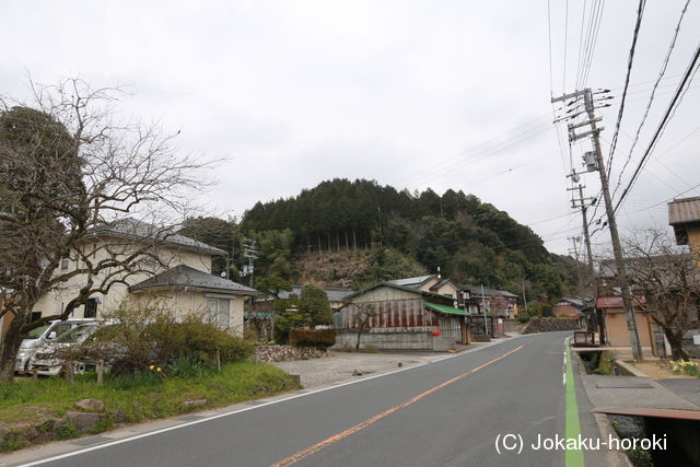 丹後 田中城の写真