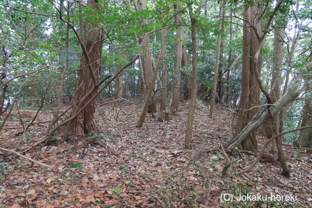 丹後 和田野東城の写真