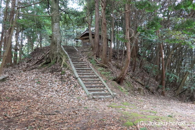 丹後 和田野城の写真