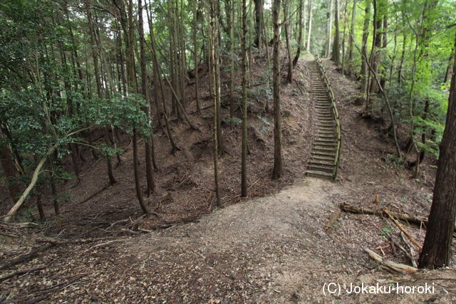 丹後 吉原山城の写真