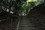 丹後 弓木城の写真
