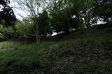 丹後 弓木城の写真