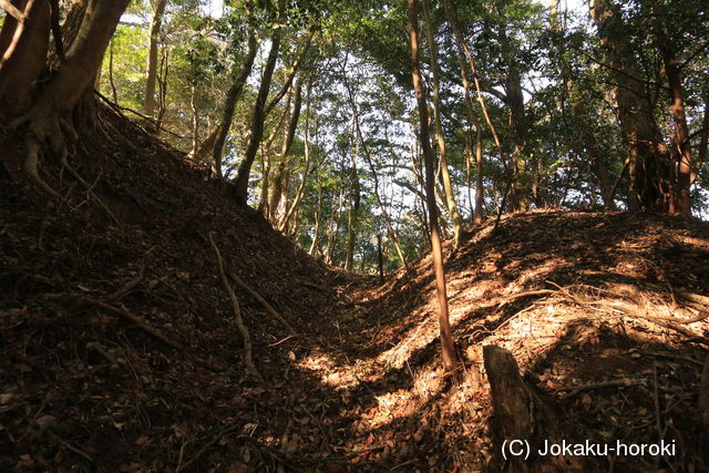 遠江 天ケ谷の城平の写真