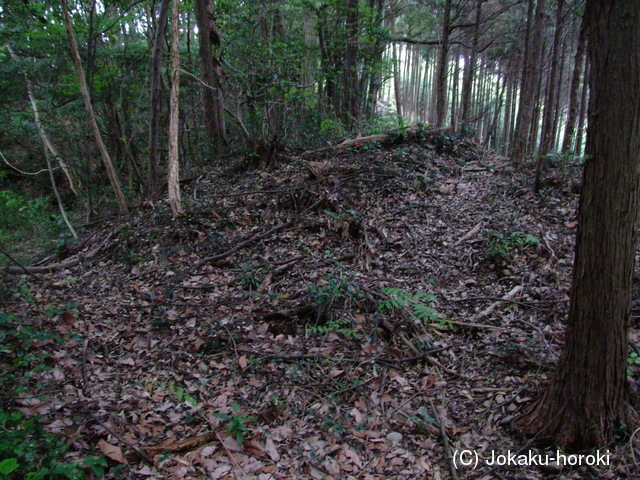 遠江 毘沙門堂砦の写真