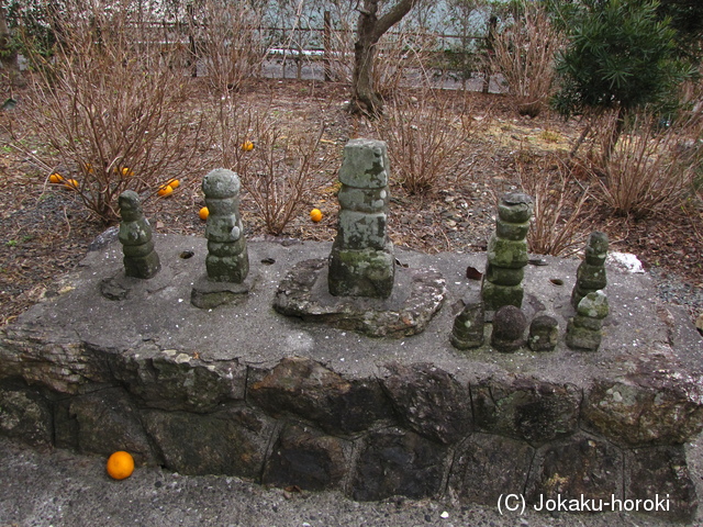 遠江 堂崎居館の写真