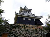 遠江 浜松城の写真