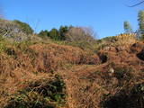 遠江 本庄山砦の写真