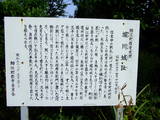 遠江 堀川城の写真