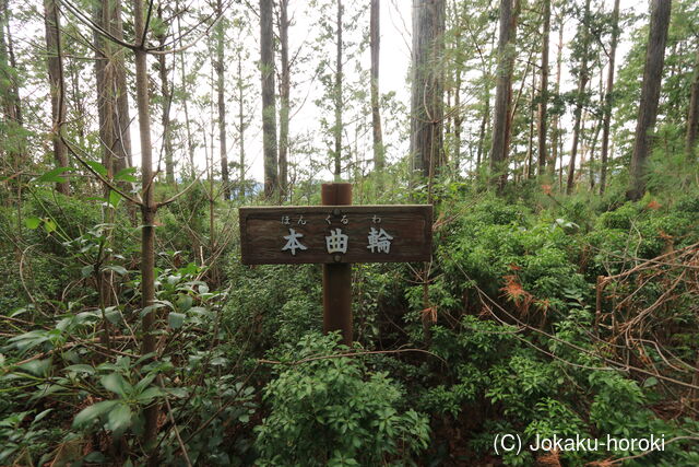 遠江 堀之内の城山の写真