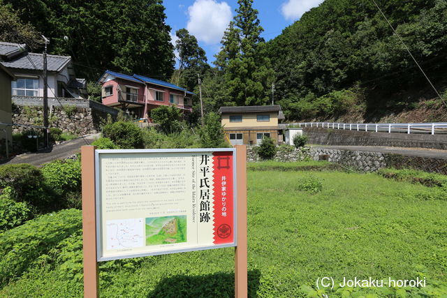 遠江 井平氏居館の写真