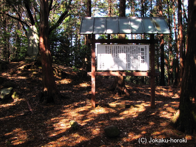 遠江 飯田城の写真