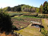 遠江 飯田城の写真