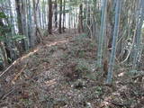 遠江 飯田城の写真