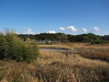 遠江 飯田城の写真