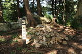遠江 井伊谷城の写真