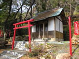 遠江 井伊谷城の写真
