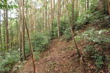 遠江 犬居城の写真