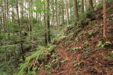 遠江 犬居城の写真