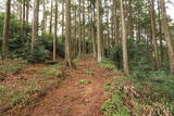 遠江 犬居城の写真