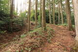 遠江 犬居城の写真