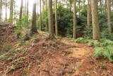 遠江 犬居城の写真