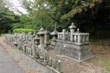 遠江 掛川古城の写真