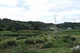 遠江 勝間田城の写真