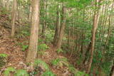 遠江 勝坂城の写真