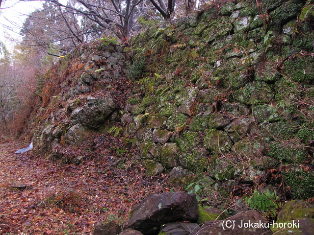 遠江 光明城の写真