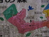 遠江 光明城の写真
