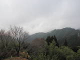 遠江 光明城の写真