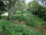 遠江 久野城の写真