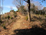 遠江 三岳城の写真