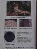 遠江 向笠城の写真