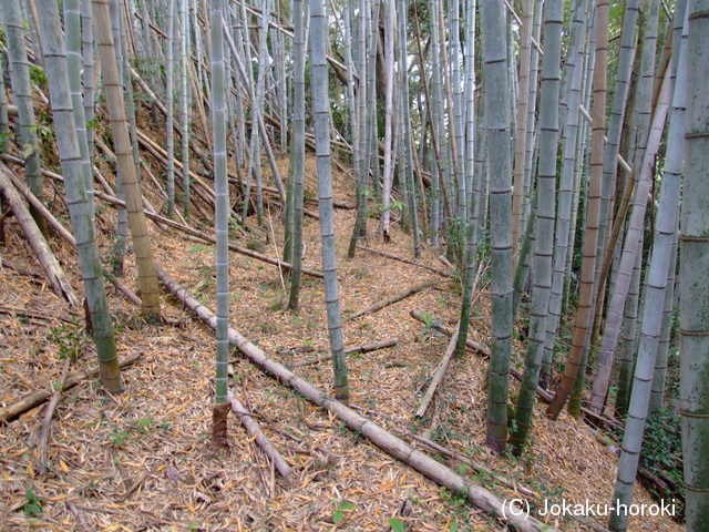 遠江 蜷原砦の写真