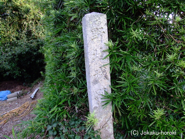 遠江 野地城の写真