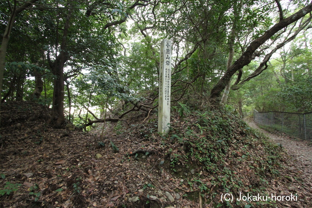 遠江 小笠山砦の写真