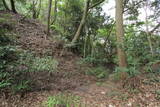 遠江 小笠山砦の写真