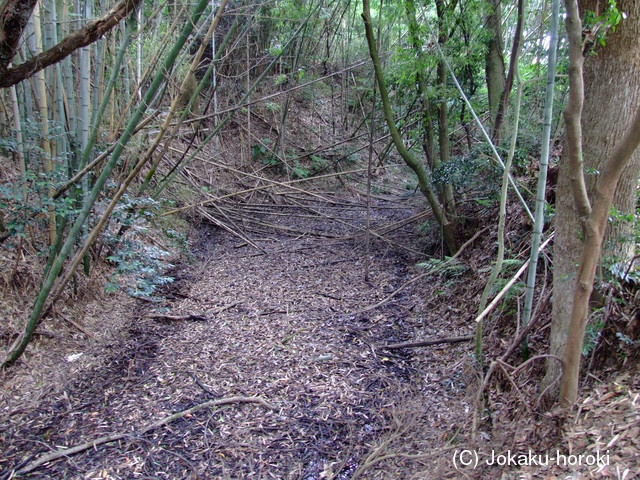 遠江 岡崎城の写真