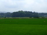 遠江 岡崎城の写真