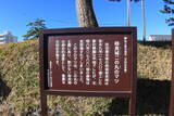 遠江 相良城の写真