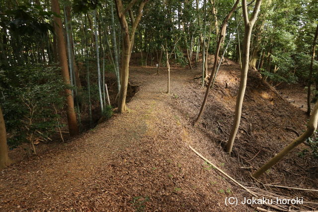 遠江 佐久城の写真